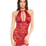 Sangria Lace Slip W Garters
