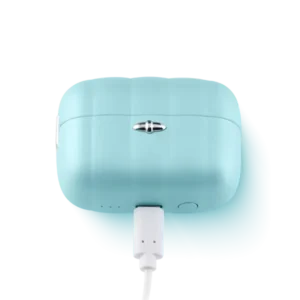PleasurePodBlue_Charge_2024