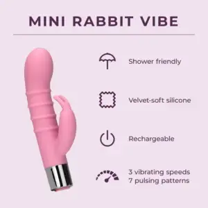 Mini-Rabbit-Vibe_FeatureCard_EN