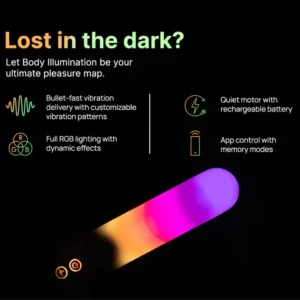 ParadiseIlluminationTheBullet4png